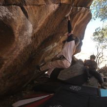 

Filename: SRM_20260118_1133590.jpg
Aperture: f/5.6
Shutter Speed: 1/500
Body: Canon EOS R6
Lens: Canon EF 16-35mm f/2.8 L