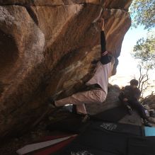 

Filename: SRM_20260118_1134270.jpg
Aperture: f/5.6
Shutter Speed: 1/500
Body: Canon EOS R6
Lens: Canon EF 16-35mm f/2.8 L