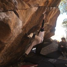 Filename: SRM_20260118_1140560.jpg
Aperture: f/5.6
Shutter Speed: 1/500
Body: Canon EOS R6
Lens: Canon EF 16-35mm f/2.8 L