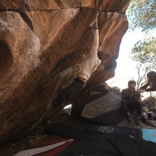 Filename: SRM_20260118_1141570.jpg
Aperture: f/5.6
Shutter Speed: 1/500
Body: Canon EOS R6
Lens: Canon EF 16-35mm f/2.8 L