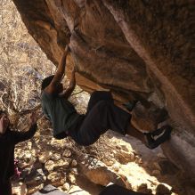 Filename: SRM_20260118_1143290.jpg
Aperture: f/5.6
Shutter Speed: 1/500
Body: Canon EOS R6
Lens: Canon EF 16-35mm f/2.8 L