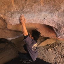 

Filename: SRM_20260118_1200101.jpg
Aperture: f/5.6
Shutter Speed: 1/500
Body: Canon EOS R6
Lens: Canon EF 16-35mm f/2.8 L