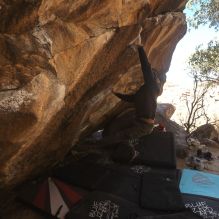 

Filename: SRM_20260118_1209181.jpg
Aperture: f/5.6
Shutter Speed: 1/500
Body: Canon EOS R6
Lens: Canon EF 16-35mm f/2.8 L