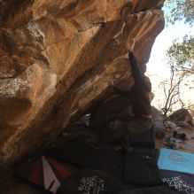 

Filename: SRM_20260118_1209182.jpg
Aperture: f/5.6
Shutter Speed: 1/500
Body: Canon EOS R6
Lens: Canon EF 16-35mm f/2.8 L