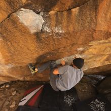 Filename: SRM_20260118_1215510.jpg
Aperture: f/5.6
Shutter Speed: 1/400
Body: Canon EOS R6
Lens: Canon EF 16-35mm f/2.8 L