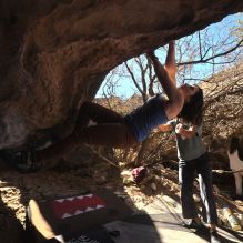 Filename: SRM_20260118_1220360.jpg
Aperture: f/4.0
Shutter Speed: 1/320
Body: Canon EOS R6
Lens: Canon EF 16-35mm f/2.8 L