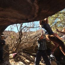 Filename: SRM_20260118_1220551.jpg
Aperture: f/4.0
Shutter Speed: 1/320
Body: Canon EOS R6
Lens: Canon EF 16-35mm f/2.8 L