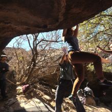 Filename: SRM_20260118_1220560.jpg
Aperture: f/4.0
Shutter Speed: 1/320
Body: Canon EOS R6
Lens: Canon EF 16-35mm f/2.8 L