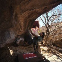 Filename: SRM_20260118_1228200.jpg
Aperture: f/4.0
Shutter Speed: 1/320
Body: Canon EOS R6
Lens: Canon EF 16-35mm f/2.8 L