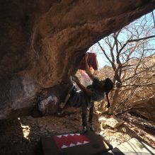 Filename: SRM_20260118_1228220.jpg
Aperture: f/4.0
Shutter Speed: 1/320
Body: Canon EOS R6
Lens: Canon EF 16-35mm f/2.8 L