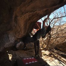 Filename: SRM_20260118_1228240.jpg
Aperture: f/4.0
Shutter Speed: 1/320
Body: Canon EOS R6
Lens: Canon EF 16-35mm f/2.8 L