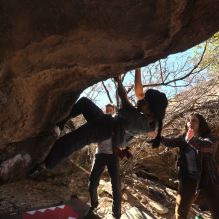 Filename: SRM_20260118_1228281.jpg
Aperture: f/4.0
Shutter Speed: 1/320
Body: Canon EOS R6
Lens: Canon EF 16-35mm f/2.8 L