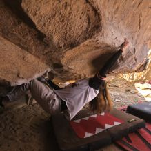 

Filename: SRM_20260118_1243370.jpg
Aperture: f/4.0
Shutter Speed: 1/400
Body: Canon EOS R6
Lens: Canon EF 16-35mm f/2.8 L