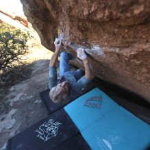 Filename: SRM_20260118_1358220.jpg
Aperture: f/4.0
Shutter Speed: 1/400
Body: Canon EOS R6
Lens: Canon EF 16-35mm f/2.8 L