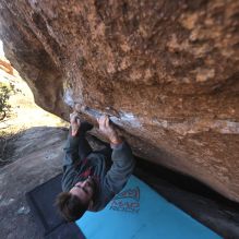 Filename: SRM_20260118_1401500.jpg
Aperture: f/5.6
Shutter Speed: 1/400
Body: Canon EOS R6
Lens: Canon EF 16-35mm f/2.8 L