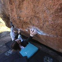 Filename: SRM_20260118_1404370.jpg
Aperture: f/5.6
Shutter Speed: 1/400
Body: Canon EOS R6
Lens: Canon EF 16-35mm f/2.8 L