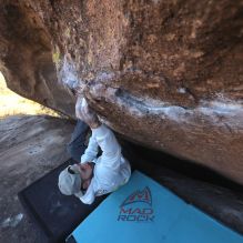 Filename: SRM_20260118_1417350.jpg
Aperture: f/5.6
Shutter Speed: 1/400
Body: Canon EOS R6
Lens: Canon EF 16-35mm f/2.8 L