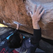 Filename: SRM_20260118_1420402.jpg
Aperture: f/5.6
Shutter Speed: 1/400
Body: Canon EOS R6
Lens: Canon EF 16-35mm f/2.8 L