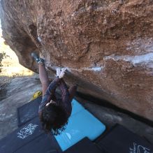 Filename: SRM_20260118_1512140.jpg
Aperture: f/8.0
Shutter Speed: 1/400
Body: Canon EOS R6
Lens: Canon EF 16-35mm f/2.8 L