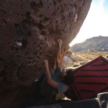 Filename: SRM_20260118_1555290.jpg
Aperture: f/5.6
Shutter Speed: 1/400
Body: Canon EOS R6
Lens: Canon EF 16-35mm f/2.8 L