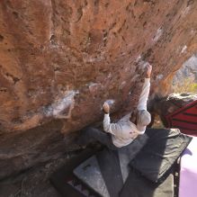 

Filename: SRM_20260118_1604282.jpg
Aperture: f/5.6
Shutter Speed: 1/400
Body: Canon EOS R6
Lens: Canon EF 16-35mm f/2.8 L