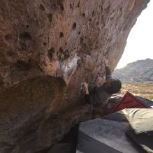 Filename: SRM_20260118_1609270.jpg
Aperture: f/5.6
Shutter Speed: 1/400
Body: Canon EOS R6
Lens: Canon EF 16-35mm f/2.8 L