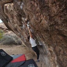 

Filename: SRM_20260207_1059560.jpg
Aperture: f/5.6
Shutter Speed: 1/800
Body: Canon EOS R6
Lens: Canon EF 16-35mm f/2.8 L