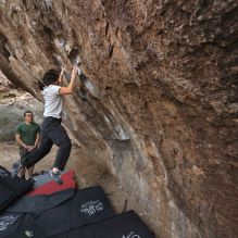 

Filename: SRM_20260207_1104211.jpg
Aperture: f/5.6
Shutter Speed: 1/800
Body: Canon EOS R6
Lens: Canon EF 16-35mm f/2.8 L