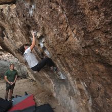 

Filename: SRM_20260207_1104270.jpg
Aperture: f/5.6
Shutter Speed: 1/800
Body: Canon EOS R6
Lens: Canon EF 16-35mm f/2.8 L