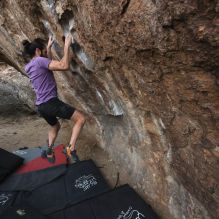 

Filename: SRM_20260207_1107110.jpg
Aperture: f/5.6
Shutter Speed: 1/800
Body: Canon EOS R6
Lens: Canon EF 16-35mm f/2.8 L