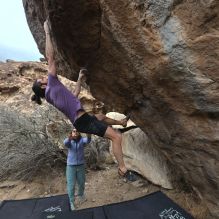 

Filename: SRM_20260207_1204491.jpg
Aperture: f/5.6
Shutter Speed: 1/800
Body: Canon EOS R6
Lens: Canon EF 16-35mm f/2.8 L