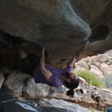 

Filename: SRM_20260207_1238471.jpg
Aperture: f/5.6
Shutter Speed: 1/400
Body: Canon EOS R6
Lens: Canon EF 16-35mm f/2.8 L