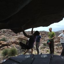 

Filename: SRM_20260207_1249480.jpg
Aperture: f/4.5
Shutter Speed: 1/400
Body: Canon EOS R6
Lens: Canon EF 16-35mm f/2.8 L