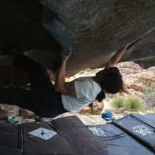 

Filename: SRM_20260207_1252510.jpg
Aperture: f/4.5
Shutter Speed: 1/400
Body: Canon EOS R6
Lens: Canon EF 16-35mm f/2.8 L