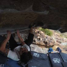 

Filename: SRM_20260207_1253040.jpg
Aperture: f/4.5
Shutter Speed: 1/400
Body: Canon EOS R6
Lens: Canon EF 16-35mm f/2.8 L