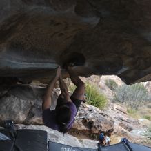 

Filename: SRM_20260207_1302550.jpg
Aperture: f/4.5
Shutter Speed: 1/400
Body: Canon EOS R6
Lens: Canon EF 16-35mm f/2.8 L