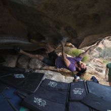 

Filename: SRM_20260207_1303160.jpg
Aperture: f/4.5
Shutter Speed: 1/400
Body: Canon EOS R6
Lens: Canon EF 16-35mm f/2.8 L