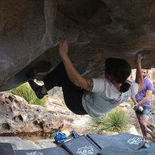 

Filename: SRM_20260207_1313050.jpg
Aperture: f/4.5
Shutter Speed: 1/400
Body: Canon EOS R6
Lens: Canon EF 16-35mm f/2.8 L