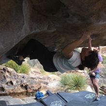 

Filename: SRM_20260207_1313060.jpg
Aperture: f/4.5
Shutter Speed: 1/400
Body: Canon EOS R6
Lens: Canon EF 16-35mm f/2.8 L