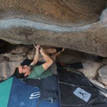 

Filename: SRM_20260207_1315270.jpg
Aperture: f/4.5
Shutter Speed: 1/400
Body: Canon EOS R6
Lens: Canon EF 16-35mm f/2.8 L