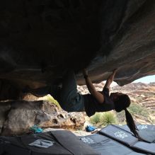 

Filename: SRM_20260207_1322320.jpg
Aperture: f/5.0
Shutter Speed: 1/400
Body: Canon EOS R6
Lens: Canon EF 16-35mm f/2.8 L