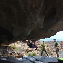 

Filename: SRM_20260207_1339070.jpg
Aperture: f/5.0
Shutter Speed: 1/400
Body: Canon EOS R6
Lens: Canon EF 16-35mm f/2.8 L