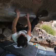 

Filename: SRM_20260207_1344530.jpg
Aperture: f/5.0
Shutter Speed: 1/400
Body: Canon EOS R6
Lens: Canon EF 16-35mm f/2.8 L