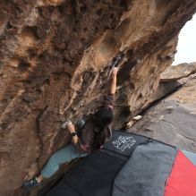 

Filename: SRM_20260207_1527081.jpg
Aperture: f/5.0
Shutter Speed: 1/400
Body: Canon EOS R6
Lens: Canon EF 16-35mm f/2.8 L