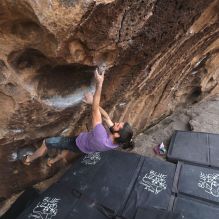 

Filename: SRM_20260207_1537190.jpg
Aperture: f/4.5
Shutter Speed: 1/400
Body: Canon EOS R6
Lens: Canon EF 16-35mm f/2.8 L