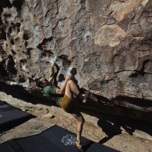 

Filename: SRM_20260208_1039290.jpg
Aperture: f/5.6
Shutter Speed: 1/1000
Body: Canon EOS R6
Lens: Canon EF 16-35mm f/2.8 L