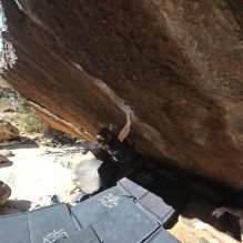 

Filename: SRM_20260208_1153520.jpg
Aperture: f/5.6
Shutter Speed: 1/1000
Body: Canon EOS R6
Lens: Canon EF 16-35mm f/2.8 L