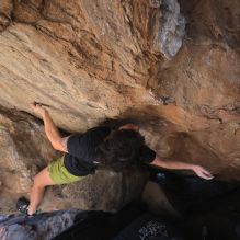 

Filename: SRM_20260208_1324290.jpg
Aperture: f/5.6
Shutter Speed: 1/400
Body: Canon EOS R6
Lens: Canon EF 16-35mm f/2.8 L