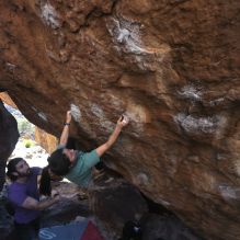 

Filename: SRM_20260208_1408060.jpg
Aperture: f/4.0
Shutter Speed: 1/400
Body: Canon EOS R6
Lens: Canon EF 16-35mm f/2.8 L