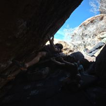 

Filename: SRM_20260208_1424190.jpg
Aperture: f/4.0
Shutter Speed: 1/400
Body: Canon EOS R6
Lens: Canon EF 16-35mm f/2.8 L